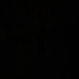 Meet your Posher, Detra